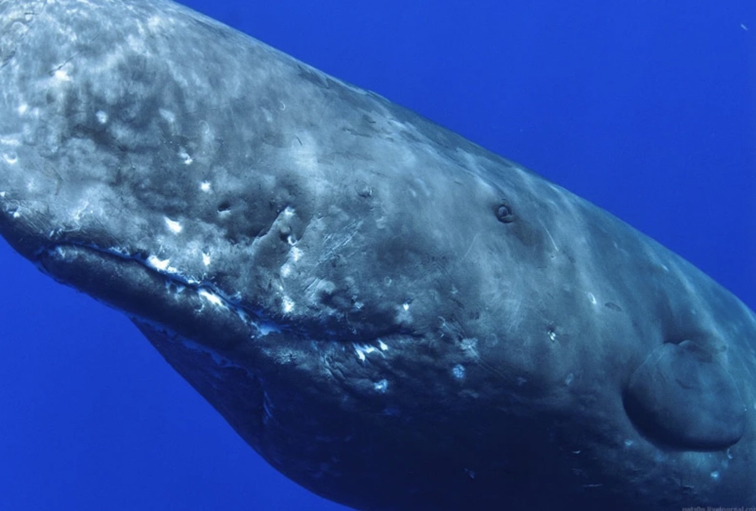 Фотодоказательства того, что нет ничего страшнее природы