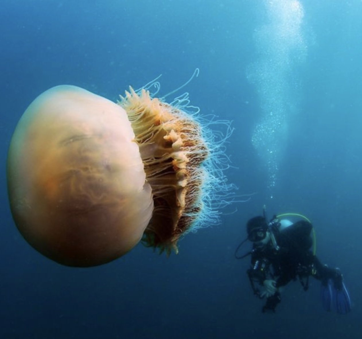Фотодоказательства того, что нет ничего страшнее природы