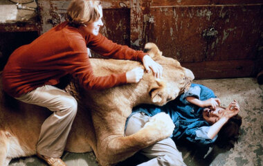 25 жутких закулисных фактов об известных фильмах