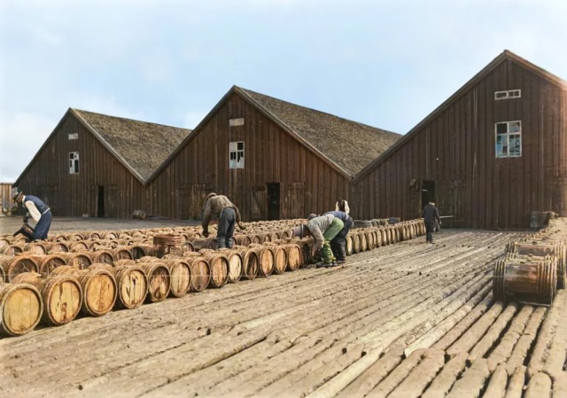 Уникальные исторические снимки времен Российской Империи