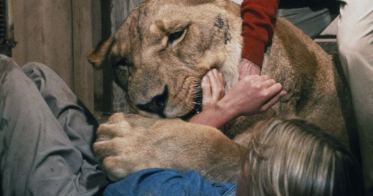 25 жутких закулисных фактов об известных фильмах