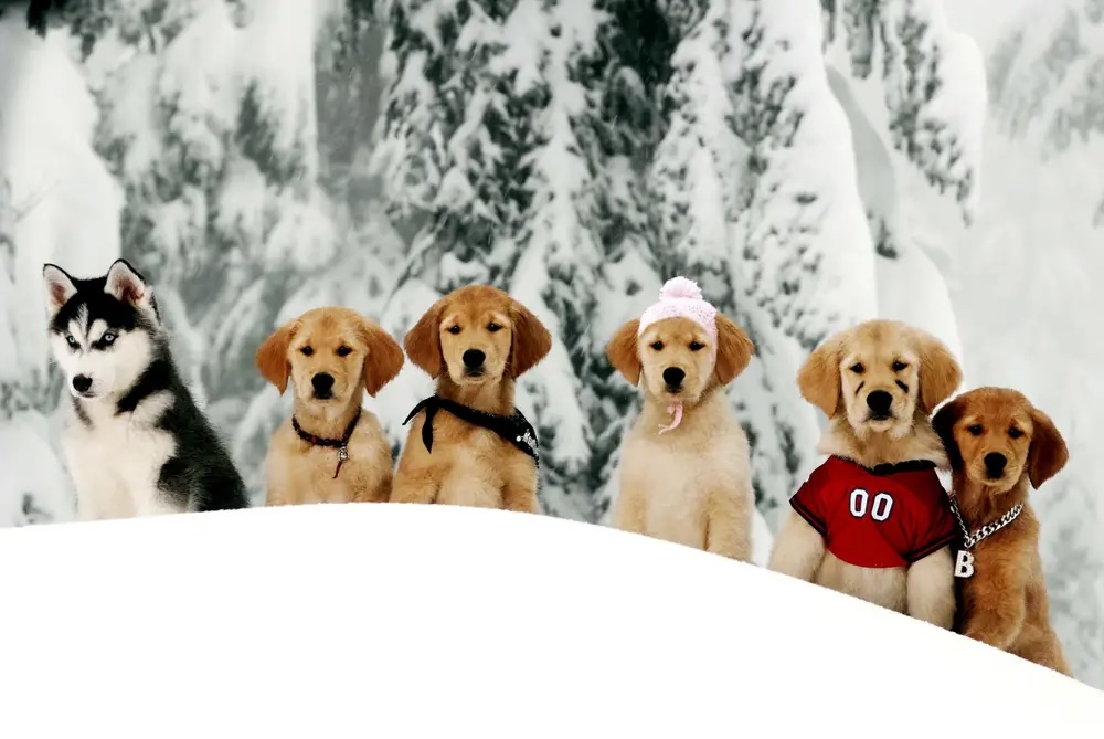 25 жутких закулисных фактов об известных фильмах