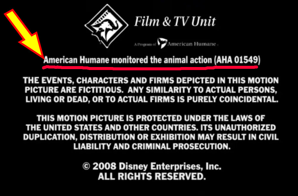 25 жутких закулисных фактов об известных фильмах