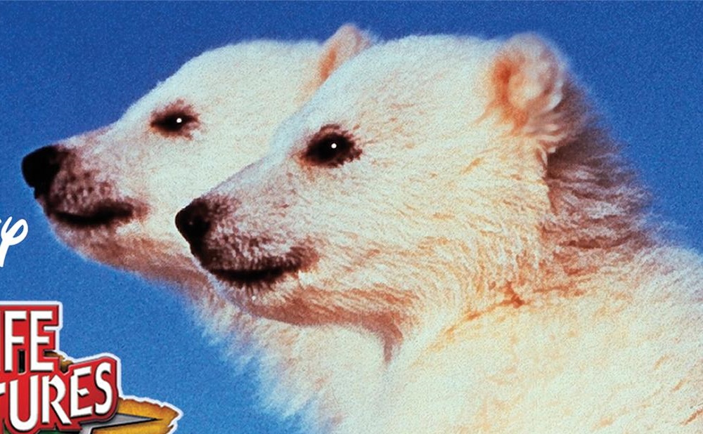 25 жутких закулисных фактов об известных фильмах