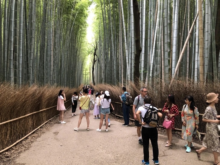 Потрясающие изображения, которые демонстрируют чудеса со всего света