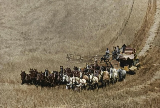 Редкие исторические фото, передающие атмосферу времени