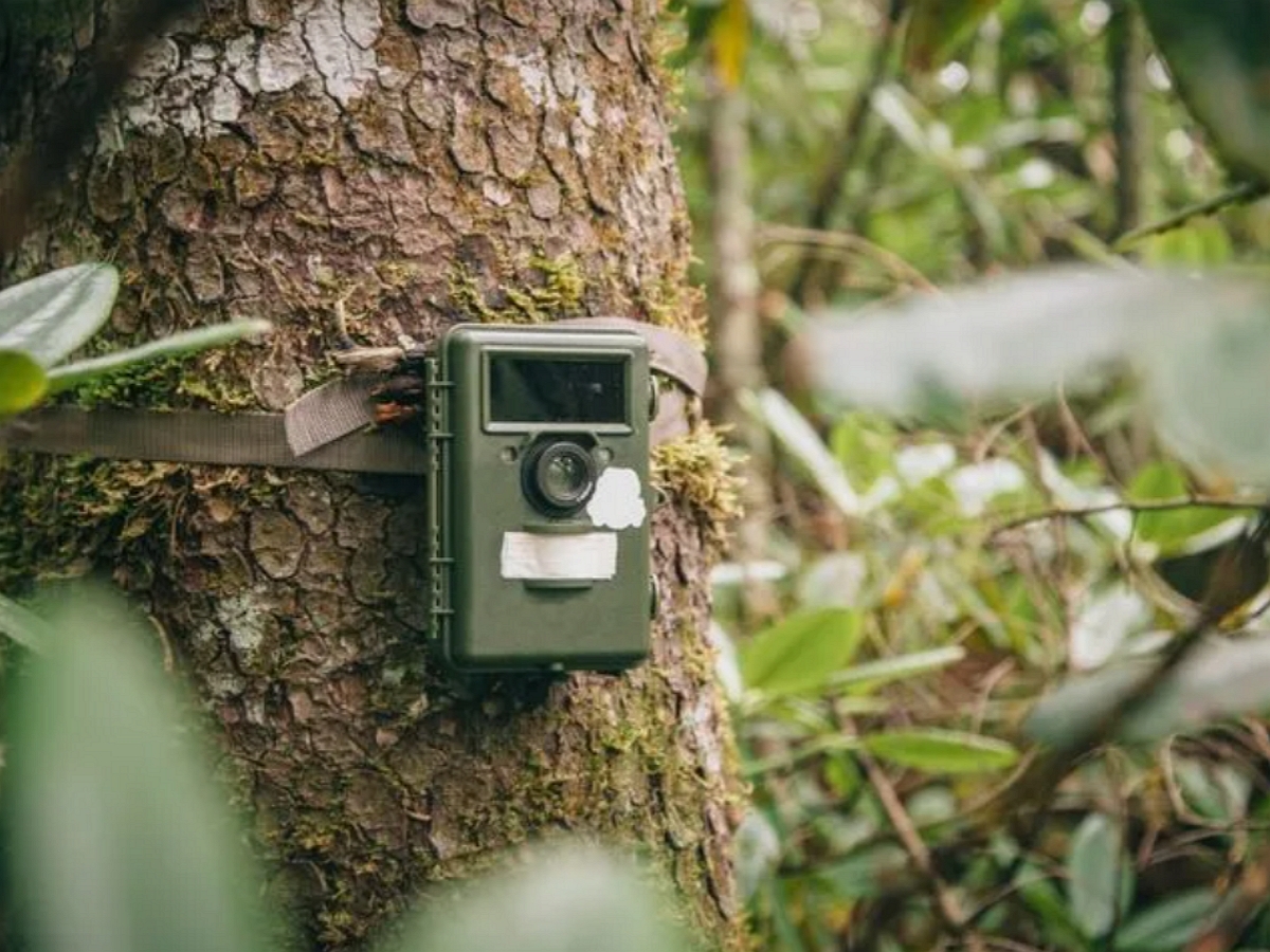 Впервые на фото сняли племя массако не имеющего контактов с окружающим миром