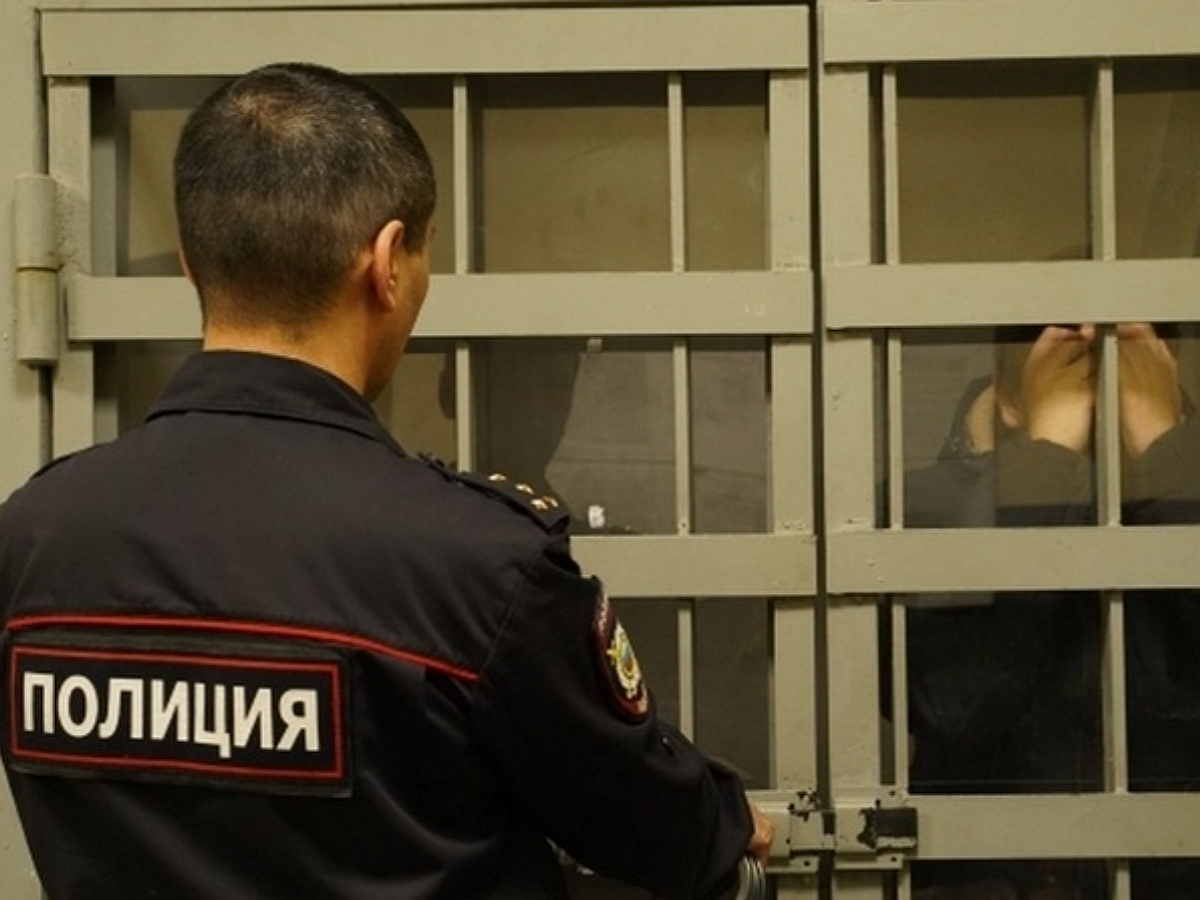 Полицейские опровергли пытки задержанного в Подмосковье дагестанца