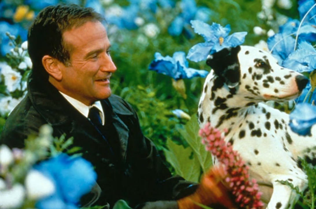 Актеры-комики, которые снялись в драме и доказали, что им все по плечу