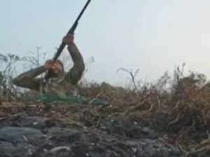 Сына Трампа обвиняют в незаконной охоте на редкую утку в Италии