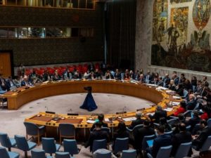 В Ставрополе собаки загрызли 9-летнюю девочку: момент нападения попал на видео