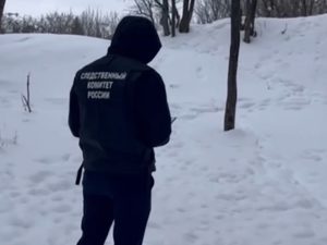 В Ставрополе собаки загрызли 9-летнюю девочку: момент нападения попал на видео