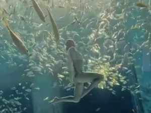 Россиянки, работающие «русалками» в Южной Корее и Китае, попали в рабство