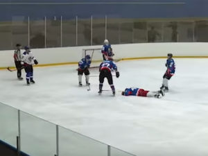 Чиновник умер во время хоккейного матча