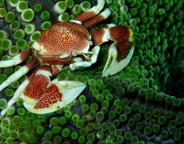 Подборка интересных фото из серии «вау!»