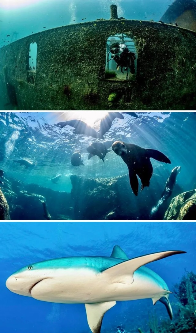 Подборка интересных фото из серии «вау!»