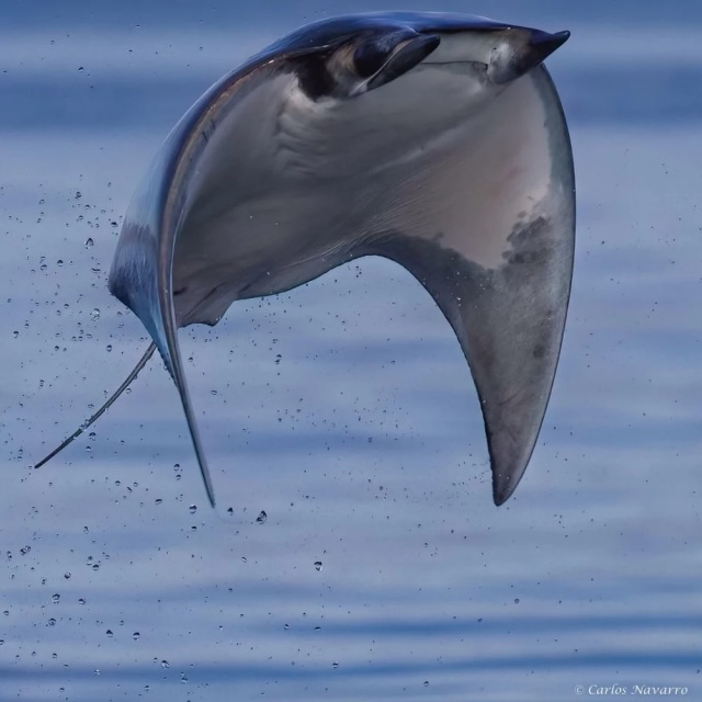 Подборка интересных фото из серии «вау!»