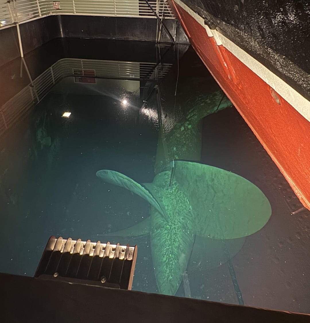 Подборка интересных фото из серии «вау!»