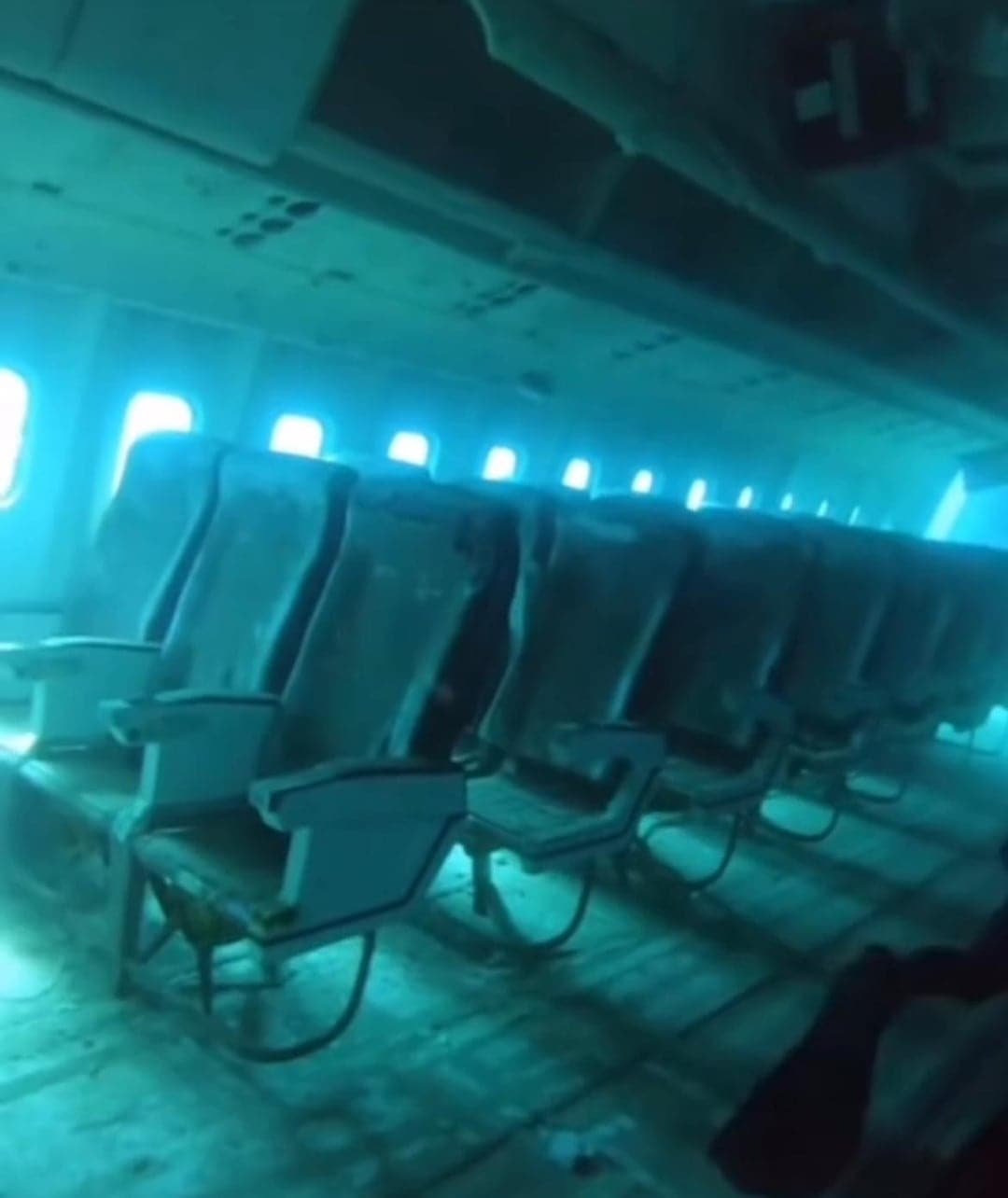 Подборка интересных фото из серии «вау!»