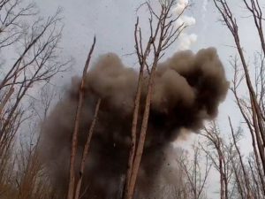 Юра Борисов подписал контракт с голливудским агентством UTA, представляющим Деппа и Шаламе