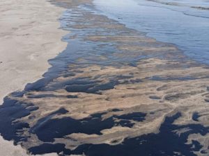 Пляжи ОАЭ закрывают из-за разлива нефти: туристы жалуются на едкий запах