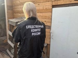 В Красноярском крае мать убила троих своих детей