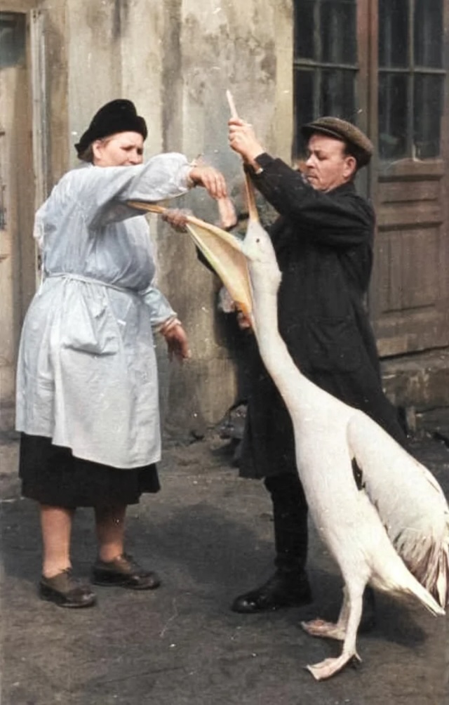 Редкие снимки Москвы, снятые 100 лет назад