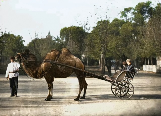 Редкие снимки Москвы, снятые 100 лет назад