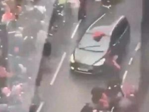 В Сети появилось видео с туристами в Анапе, несмотря на мазут и запреты купаться в море