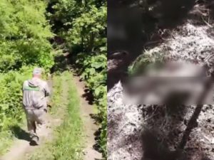 На Сахалине медведь-людоед убил двух мужчин: еще один пострадал