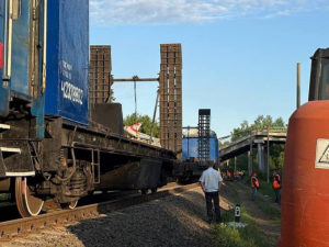 В Воронежской области остановили несколько поездов из-за повреждения ж/д полотна