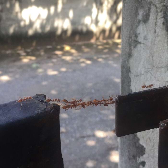 Редкие реальные кадры и случайные совпадения, в которые трудно поверить