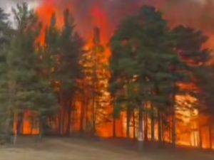 Двух подростков в Забайкалье подозревают в поджоге леса по заданию Украины