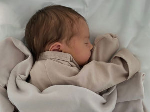 В Британии родились