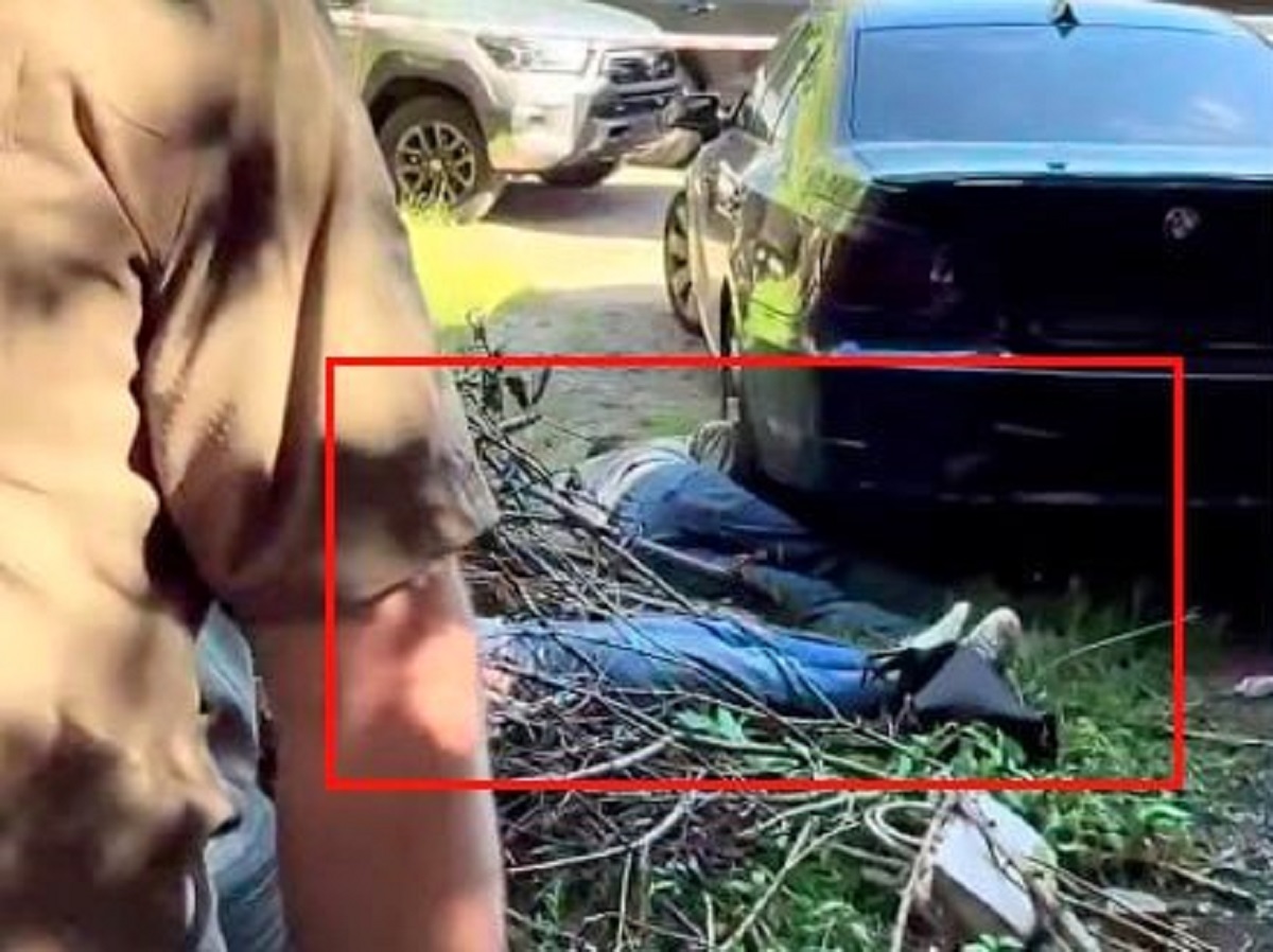 «Украина убивает азербайджанцев!»: военкоры обвинили Баку в позорном молчании