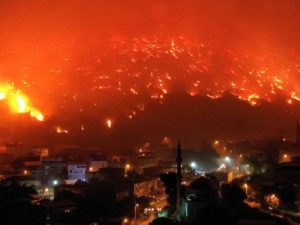 «Туристов не коснется»: лесные пожары бушуют в Турции