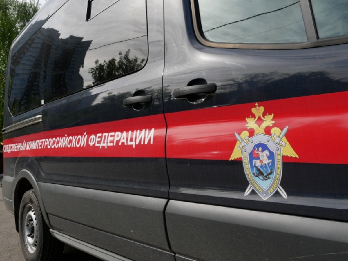 В Брянске цыган изнасиловал и забил до смерти беременную школьницу