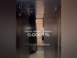 Потоп в ЖК Садовые кварталы