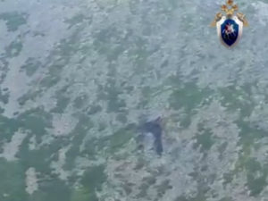 В горах у Охотска найдены обломки пропавшего Ми-8Т