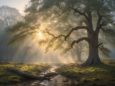 Их не существует: лучшие нейрофотографии фотопремии 35awards