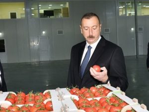 Алиев