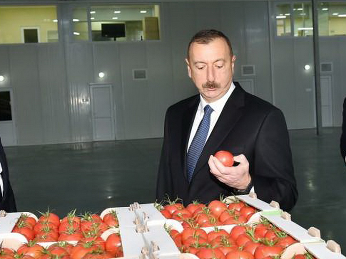 Алиев