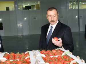 Алиев