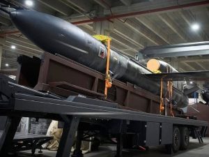 СМИ: «сверхмощные ракеты Flamingo Украины» могут ударить вглубь РФ