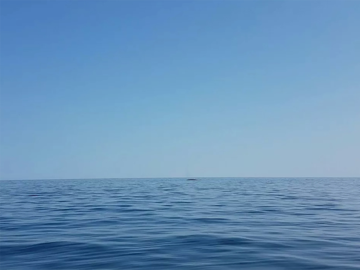 Дрейфовавший в море