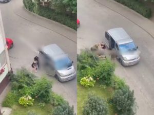 Украинка отбила мужчину у четырех военкомов, попав на видео