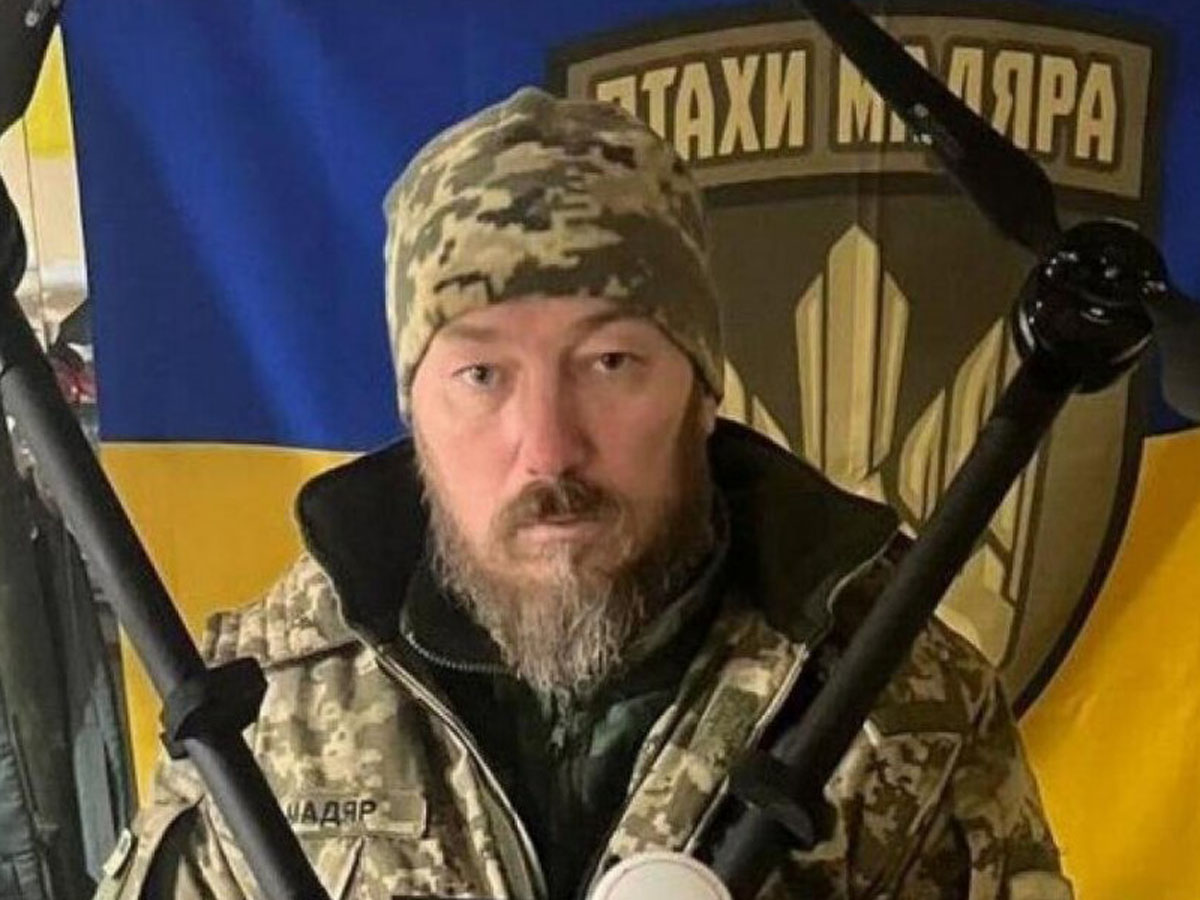 Бровди