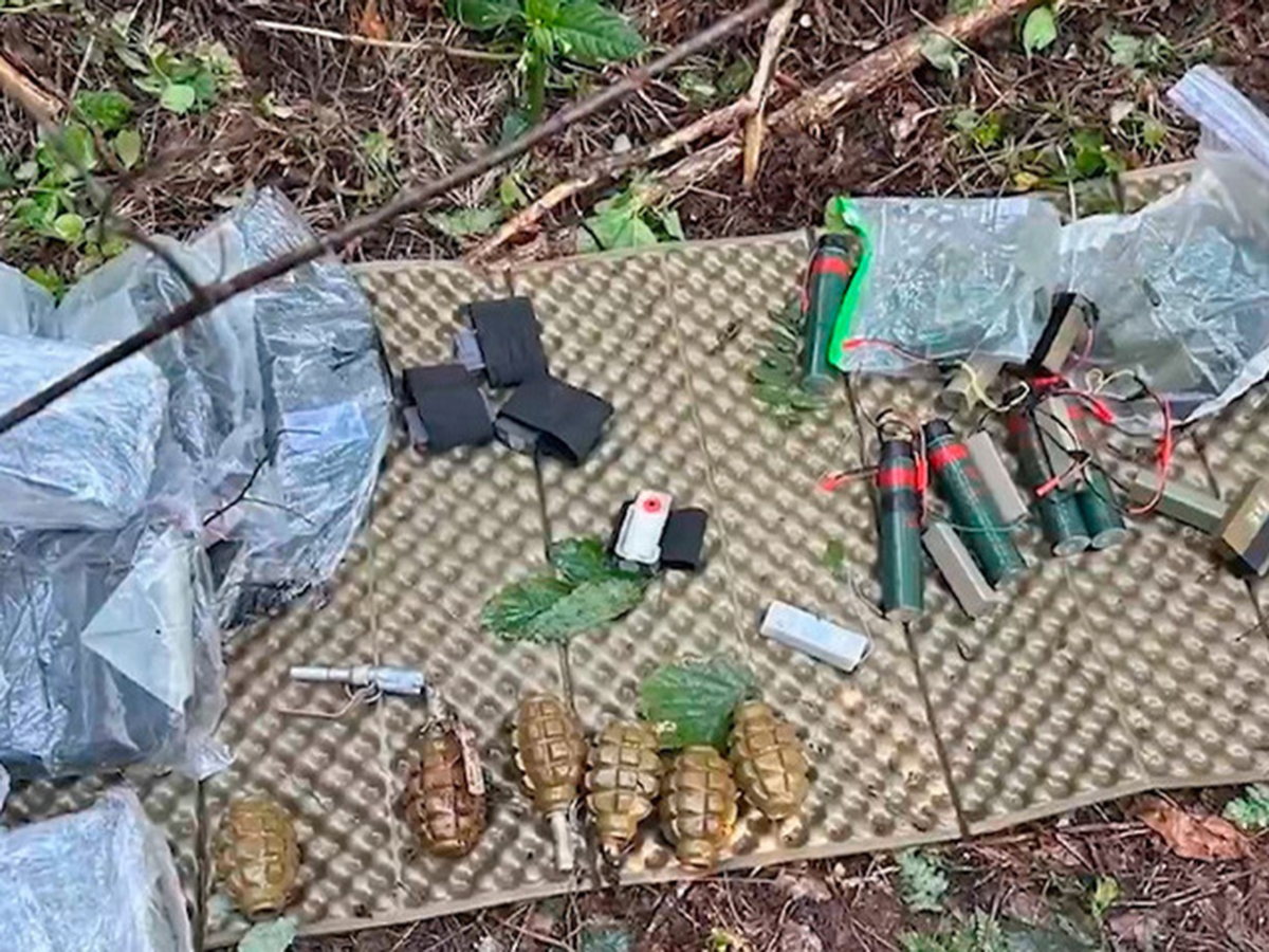 Трех диверсантов ликвидировали при попытке подрыва железной дороги под Брянском