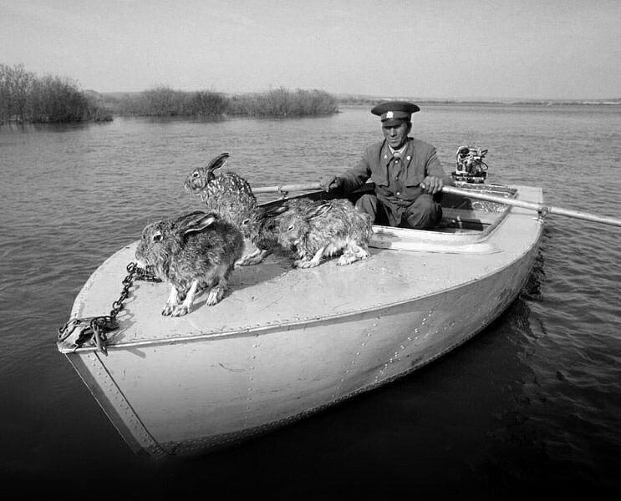 История в фотографиях: люди, времена и нравы