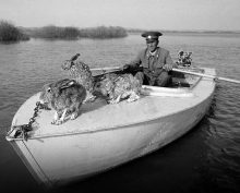 История в фотографиях: люди, времена и нравы